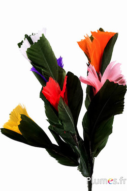 Verenbloemen - hoogte 30 cm - meerkleurig